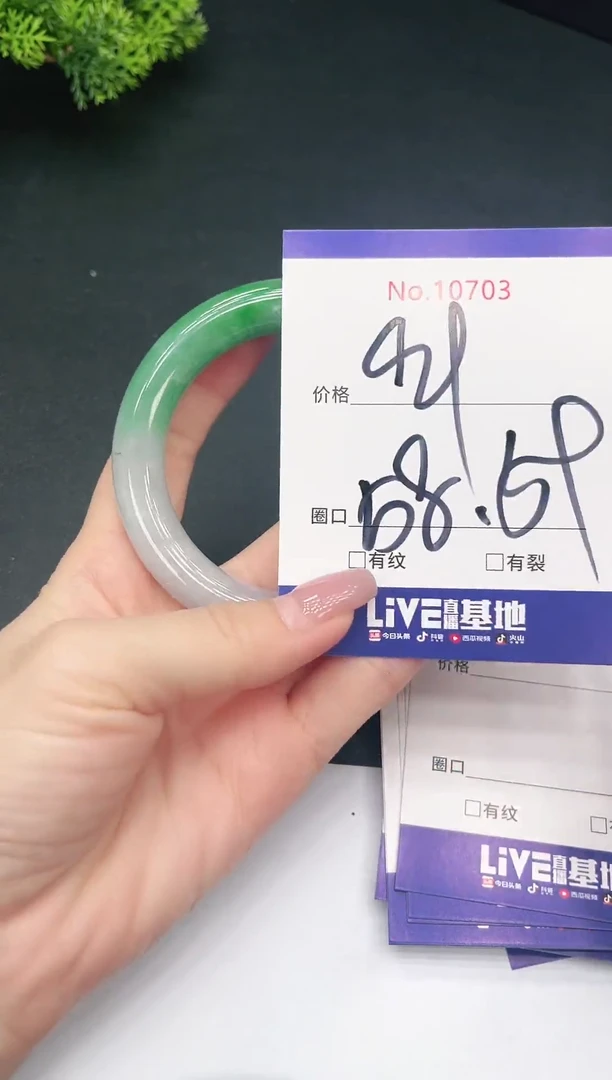 未镶嵌手镯翡翠10703