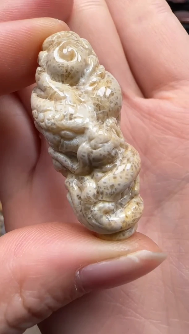 【闪购商品】硅化珊瑚（珊瑚玉）颈饰未镶嵌021