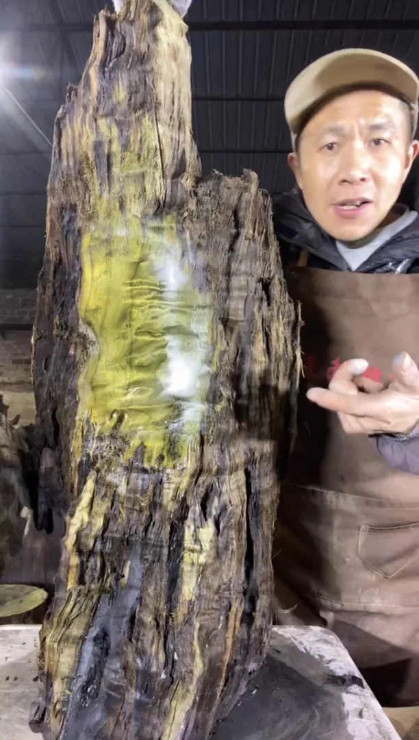 其他楠木（金丝楠）7