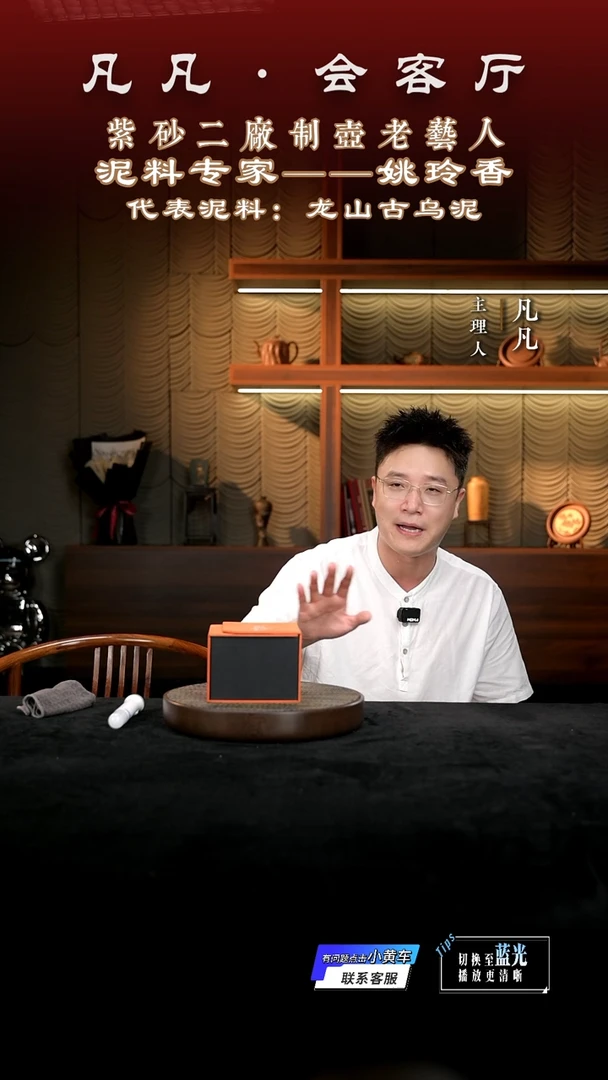 茶壶紫砂凡凡会客厅 紫砂壶06