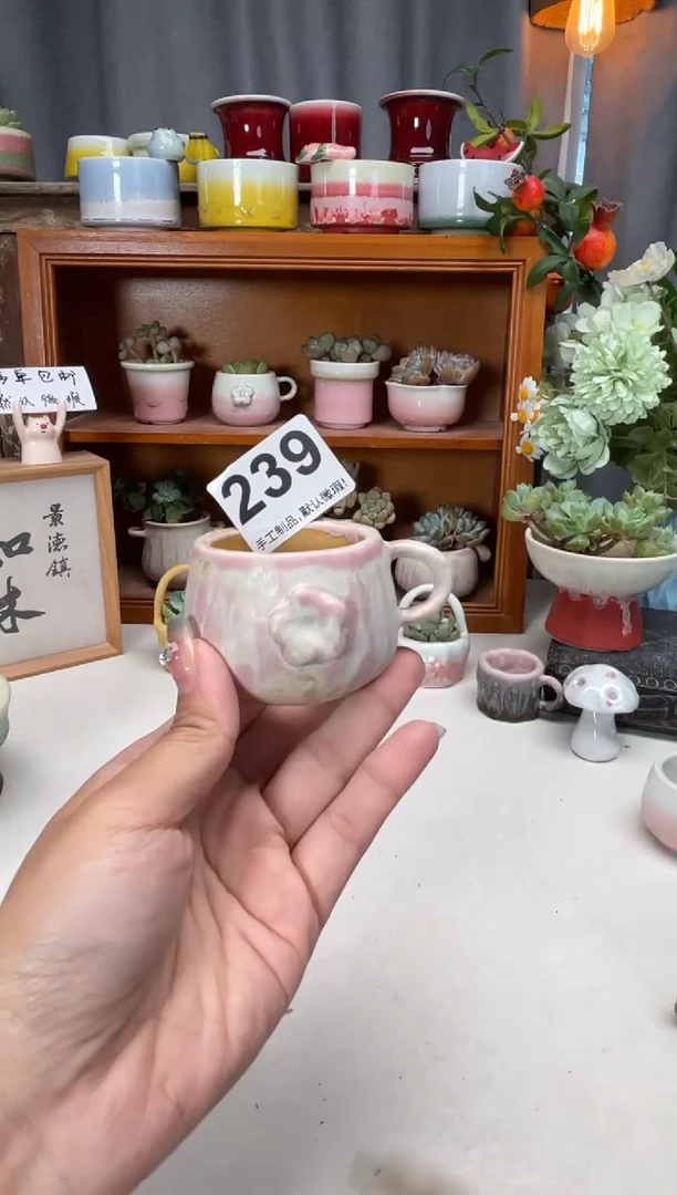 瓷片239知木小芳花盆