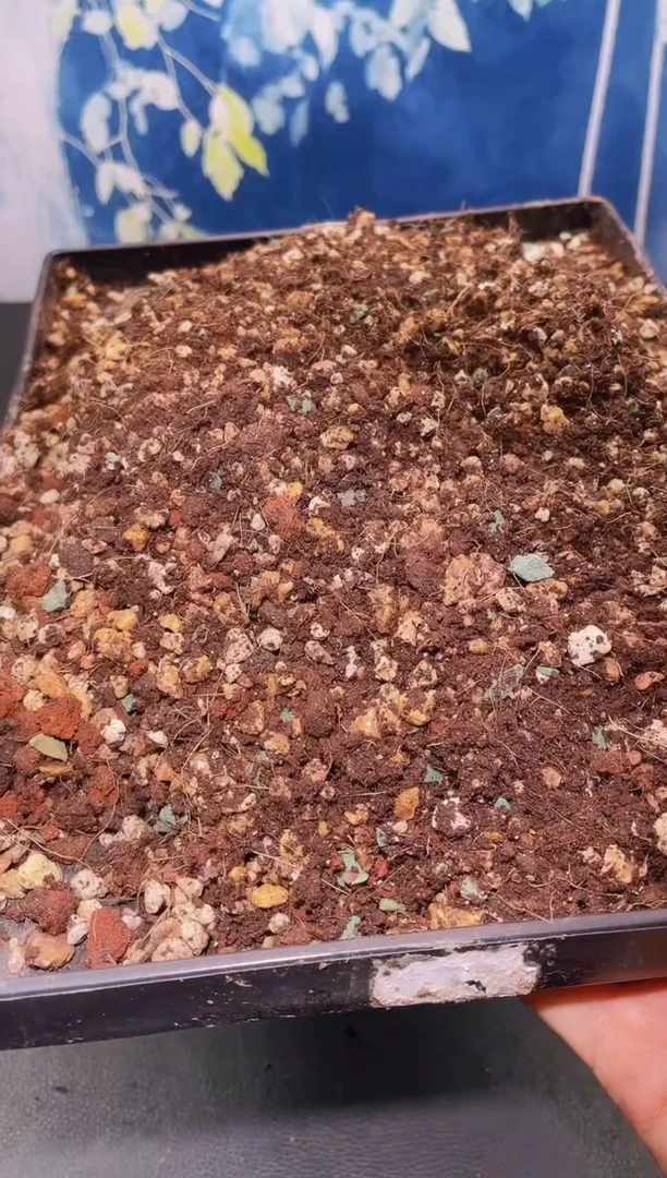 【闪购商品】多肉专用土量拍一单单独包邮