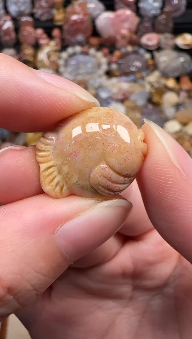 颈饰未镶嵌硅化珊瑚（珊瑚玉）498