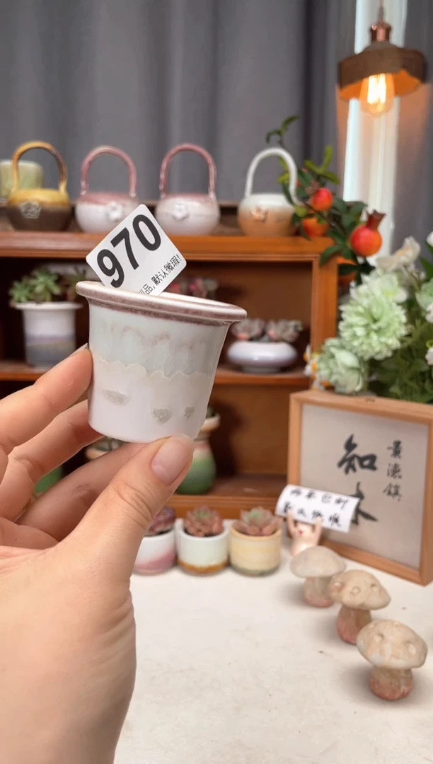 瓷片970知木小芳花盆直播编号