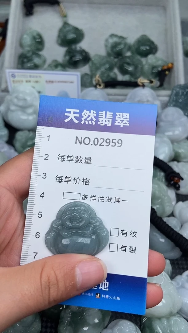 颈饰未镶嵌翡翠纯天然A货翡翠2959