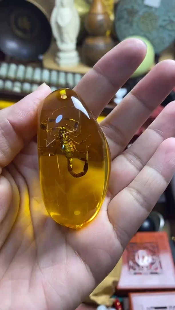 裸石琥珀未镶嵌主播推荐主播推荐