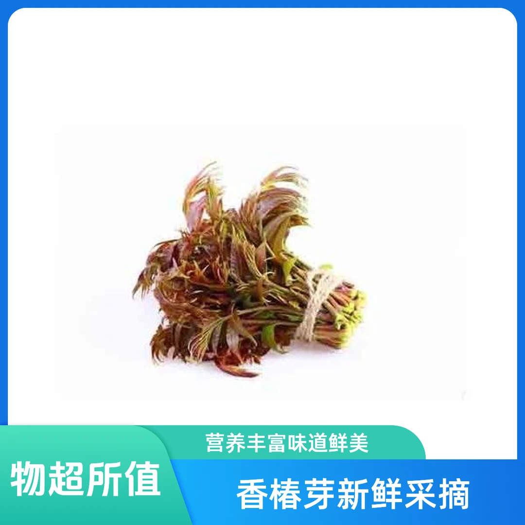 新鲜现摘香椿芽约150克