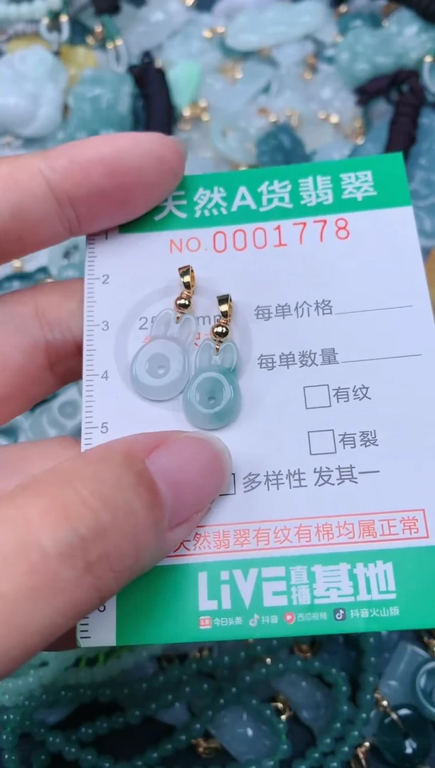 颈饰未镶嵌翡翠.0001778