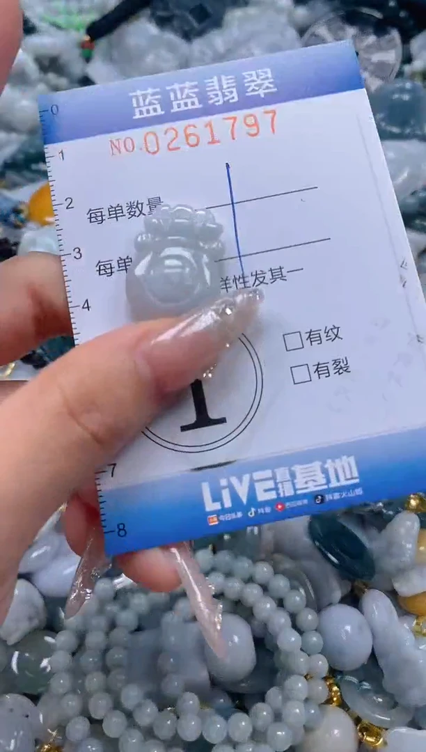 翡翠未镶嵌颈饰闪购0261797