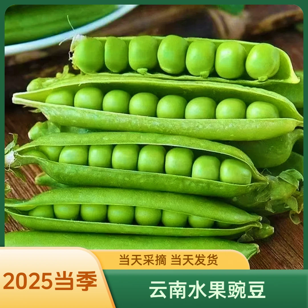 (云南甜豌豆基地直发)新鲜甜豌豆水果豌豆现采现发