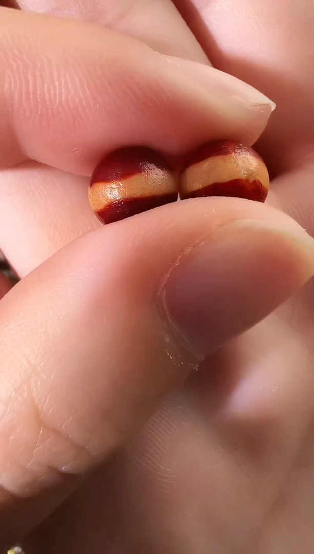 玛瑙/玉髓（覆膜）颈饰未镶嵌35（微瑕随机发货）