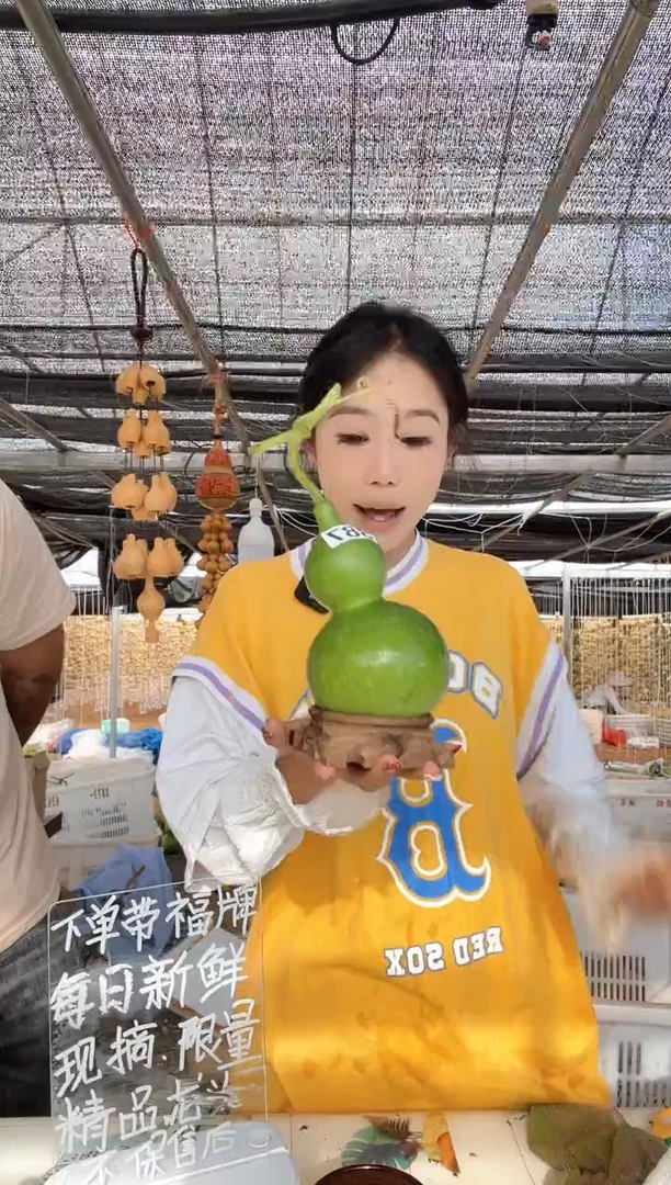 387天然葫芦摆件 一物一拍龙头不保售后