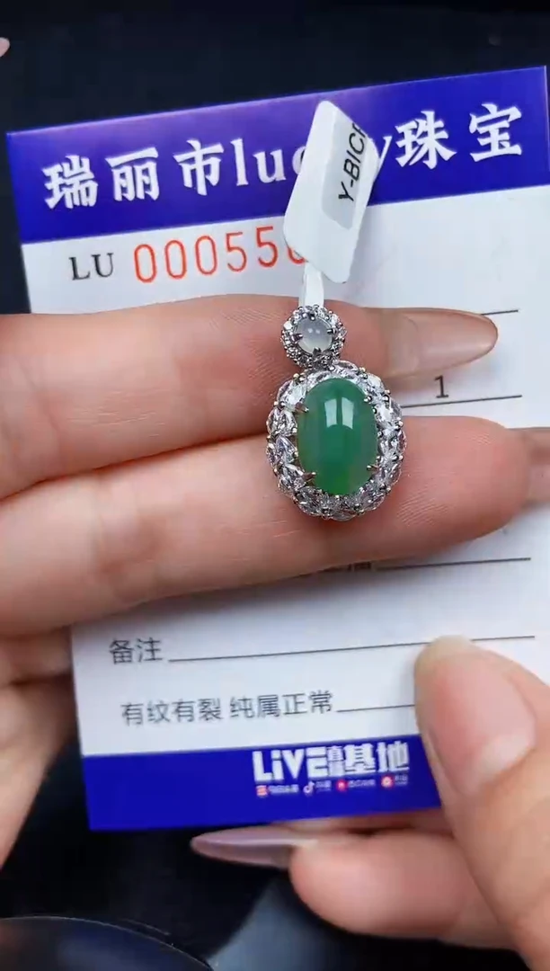 翡翠银S925镶嵌颈饰5509