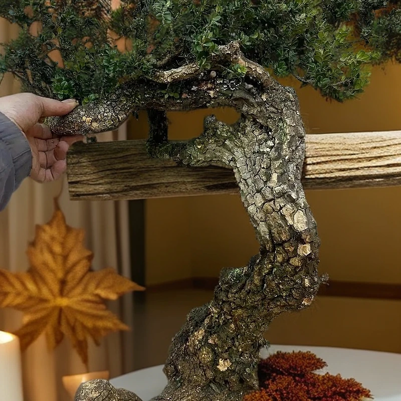 黄杨柏树等盆景花卉一物一拍