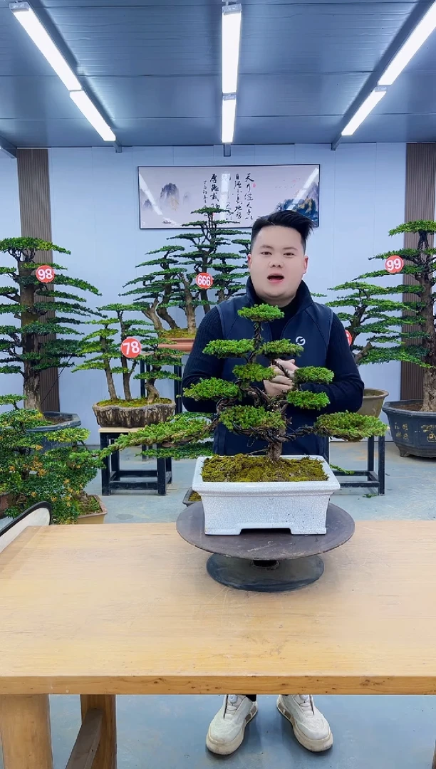 以实际为准0000000000000000