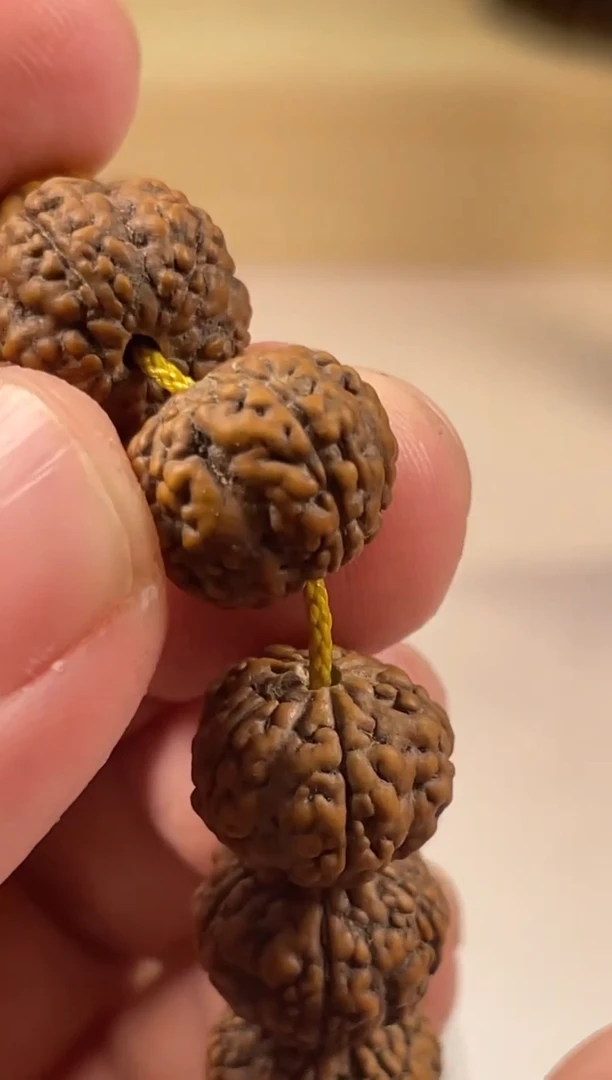 【闪购商品】金刚菩提手串饕餮爆肉龙手持 密封包装11-13mm