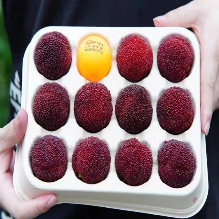 [老吴夫妇专属]仙居东魁杨梅乒乓球大果 福利装