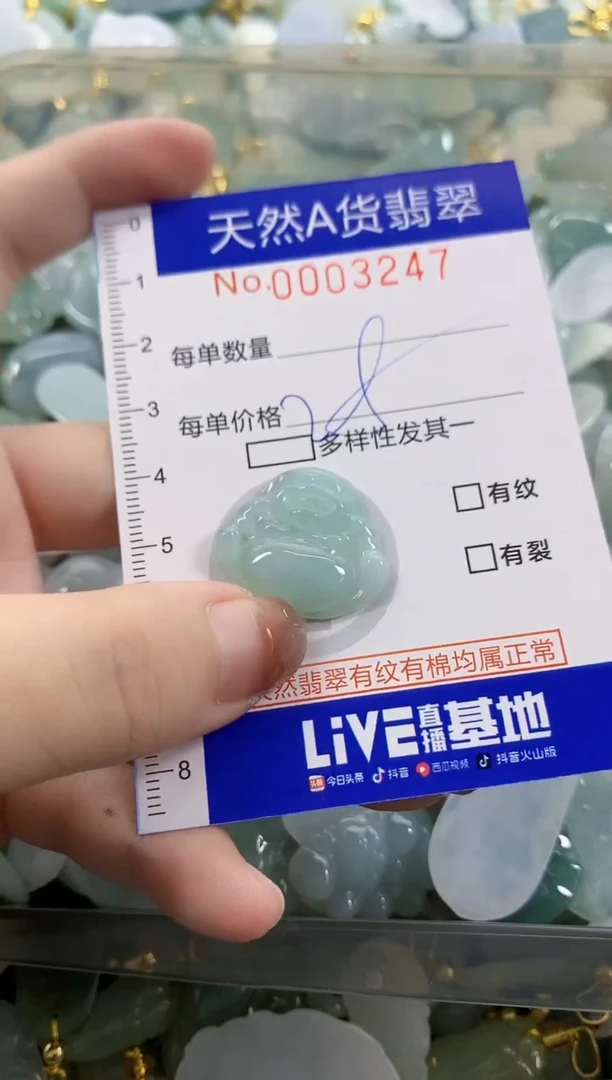 颈饰未镶嵌翡翠天然A货翡翠
