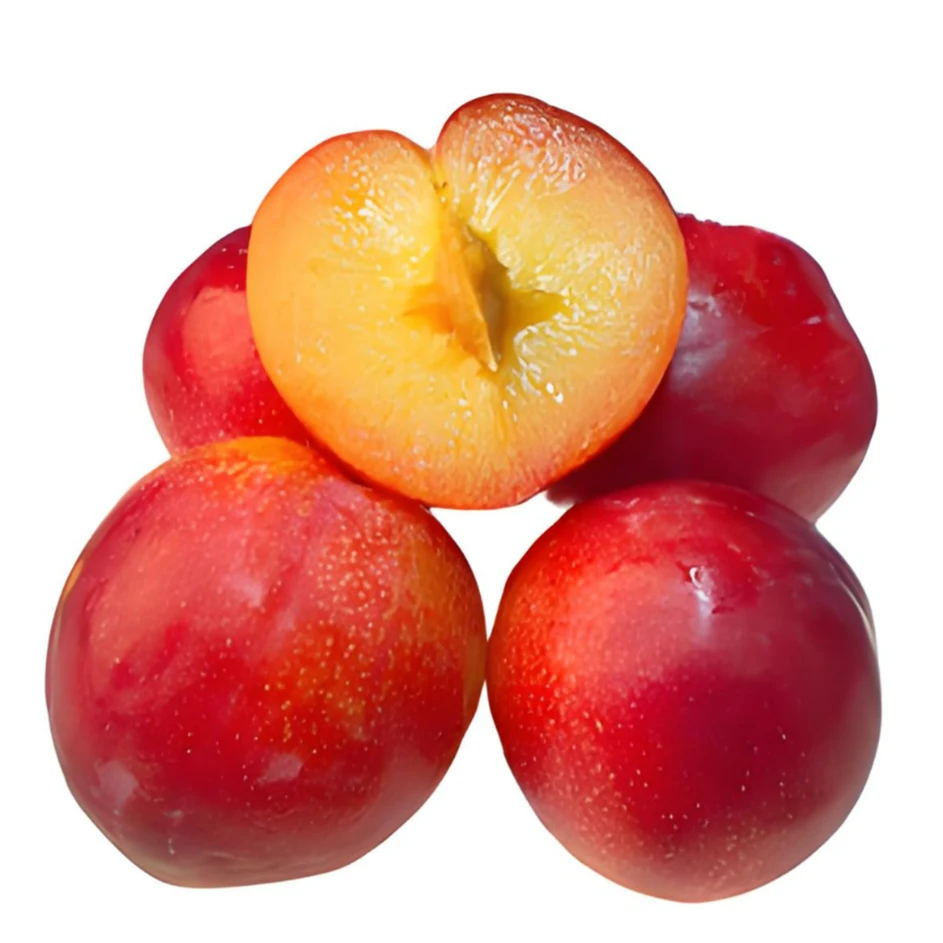 【一盒】澳洲进口梅糖李（6个，九两左右）