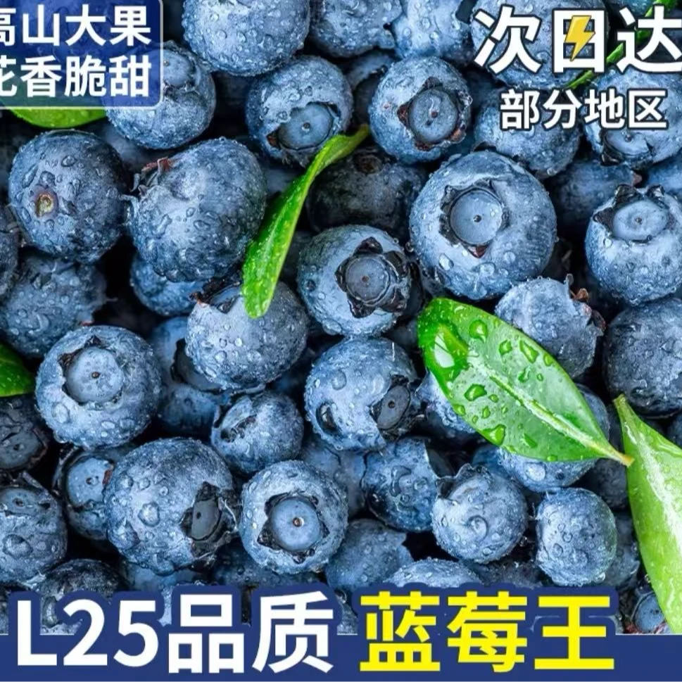 京东（新疆包邮）L25 云南高山花香蓝莓 脆甜超好吃