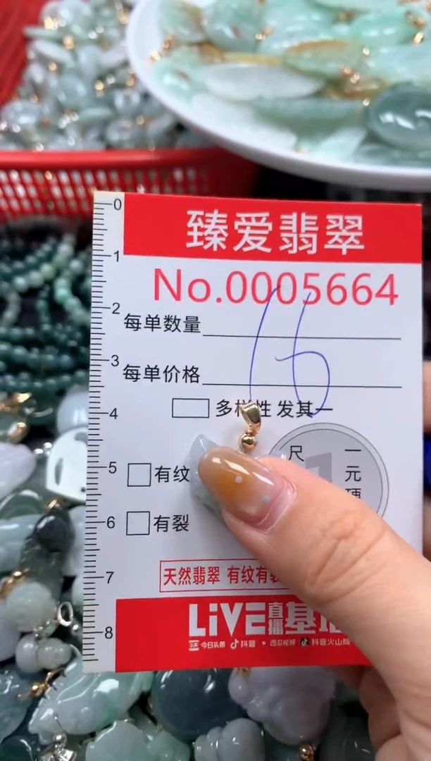 翡翠未镶嵌颈饰5664