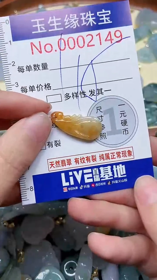 【闪购商品】翡翠颈饰未镶嵌闪购00002149