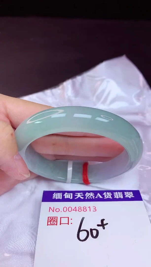 未镶嵌手镯翡翠60+