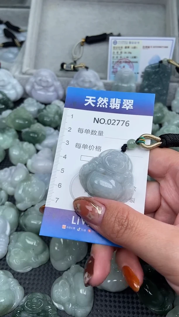 颈饰未镶嵌翡翠纯天然A货翡翠2776