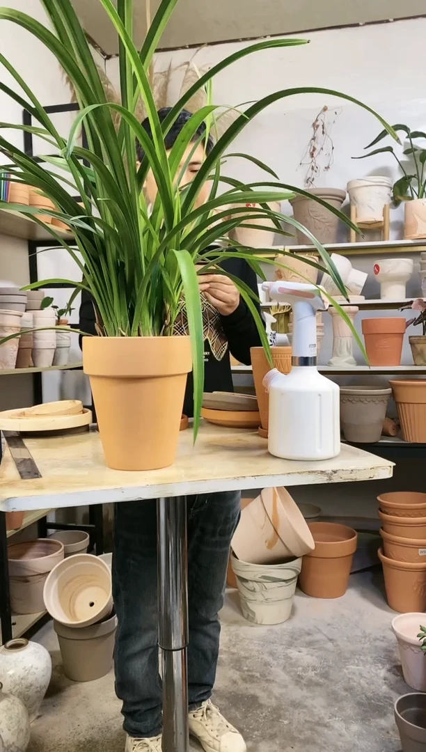 【闪购商品】红陶17*21红陶反比例 1盆无托