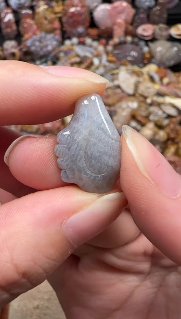 颈饰未镶嵌硅化珊瑚（珊瑚玉）059