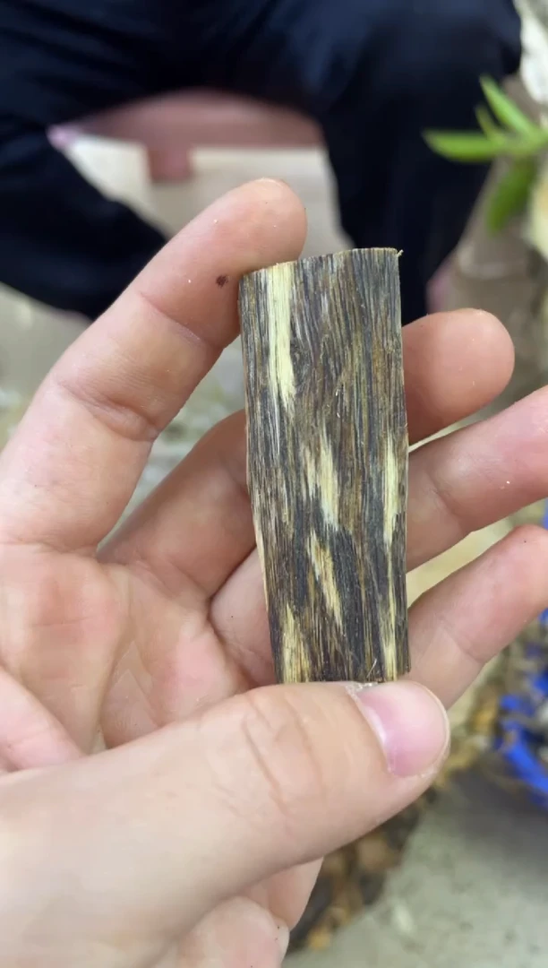 【闪购商品】沉香木沉香碎屑棋楠沉香 原料文创1