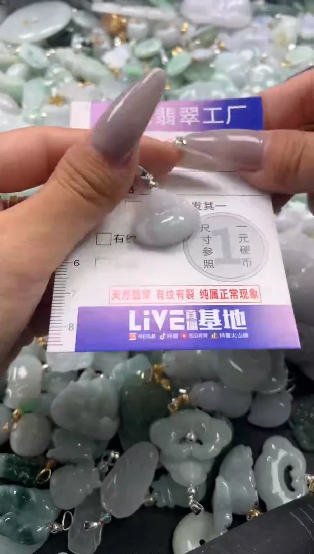 颈饰未镶嵌翡翠1559