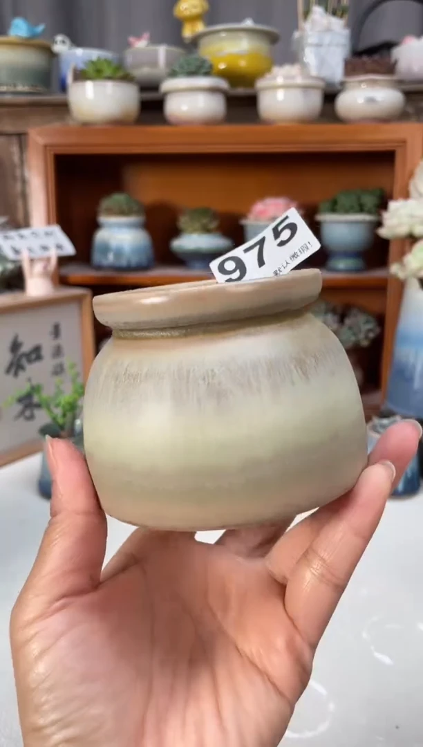 瓷片975知木小方花盆直播编号