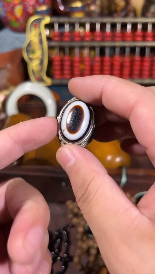 黄杨木11111111111111111111