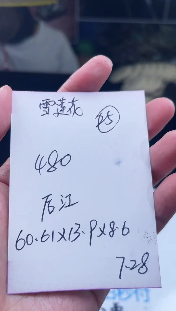 珐琅非金属雪**?所见所得