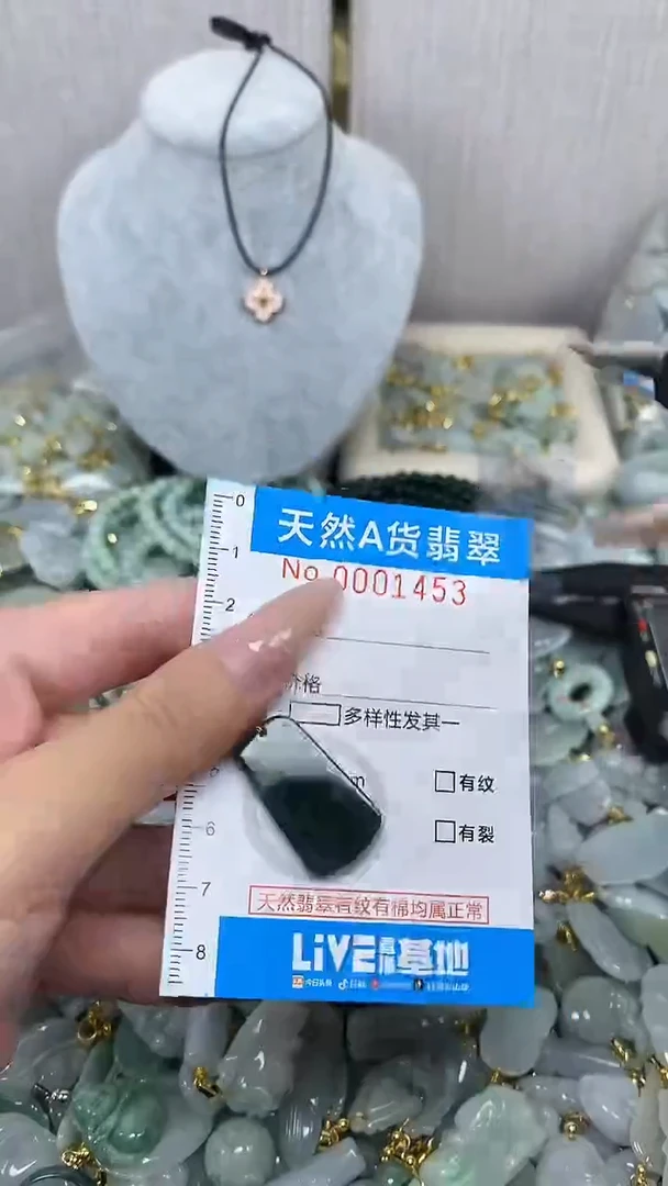 翡翠未镶嵌颈饰净货挂件-1453