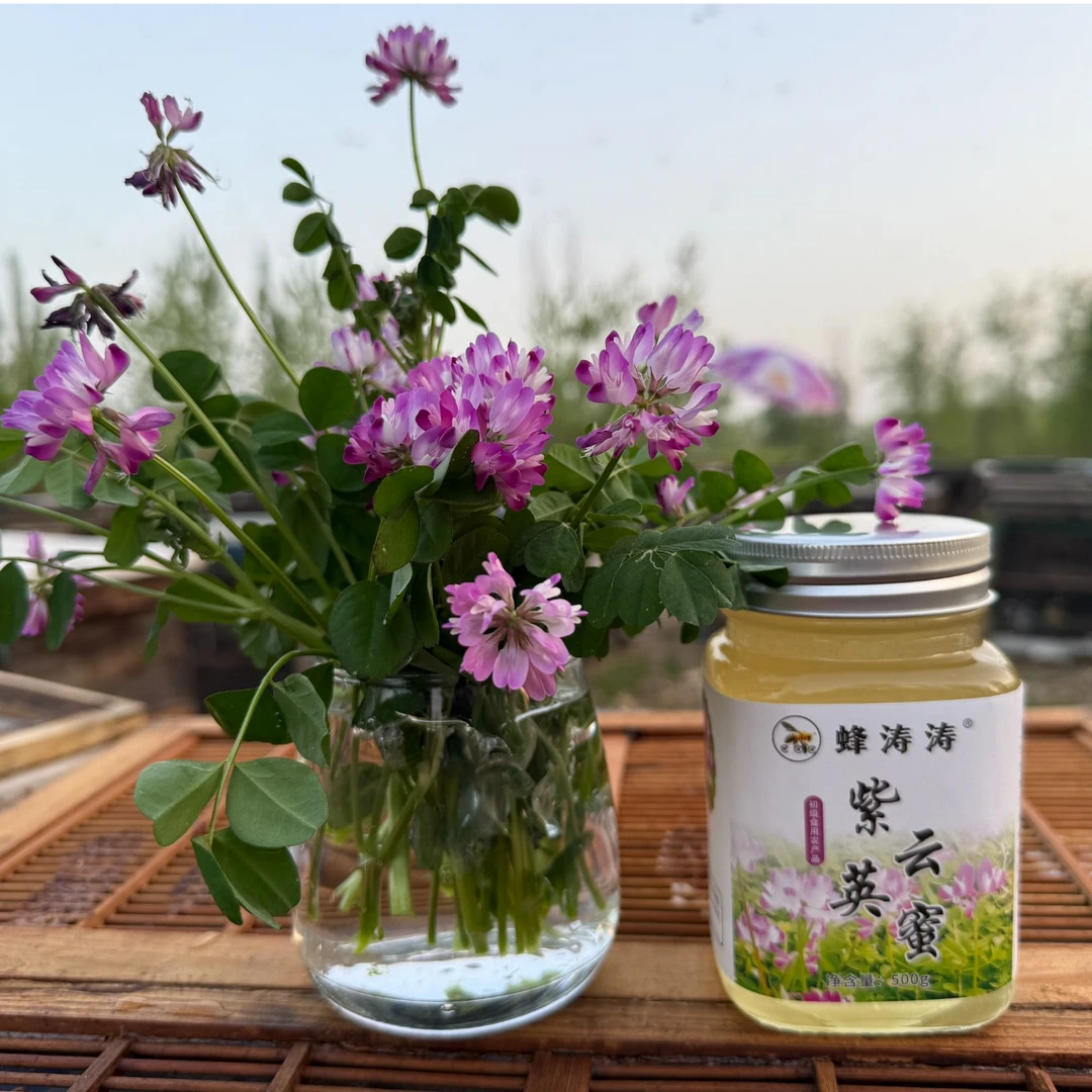蜂涛涛紫云英新蜜玻璃瓶2025天然成熟无添加纯蜂蜜