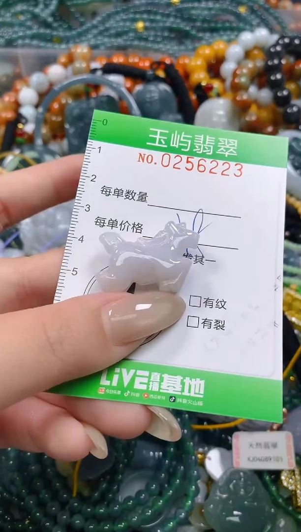 颈饰未镶嵌翡翠闪购0256223
