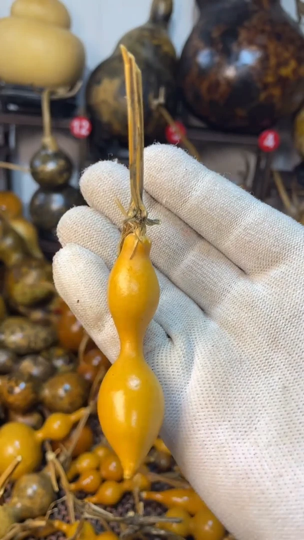 【闪购商品】葫芦葫芦葫芦葫芦葫芦