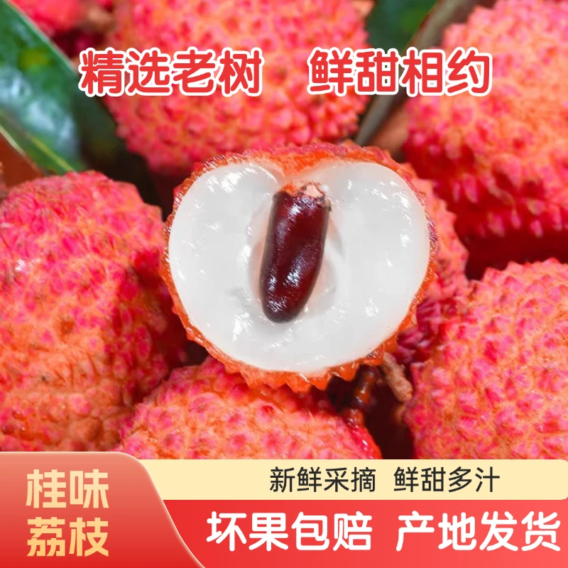 [桂味荔枝] 正宗桂味荔枝新鲜水果现摘应季产地京东冷链