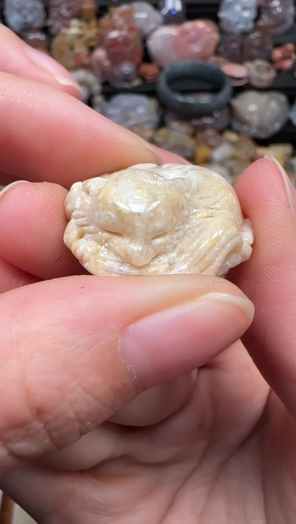 颈饰未镶嵌硅化珊瑚（珊瑚玉）296