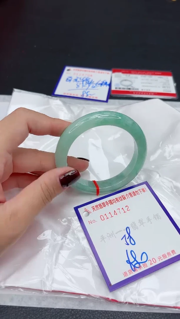 未镶嵌手镯翡翠1