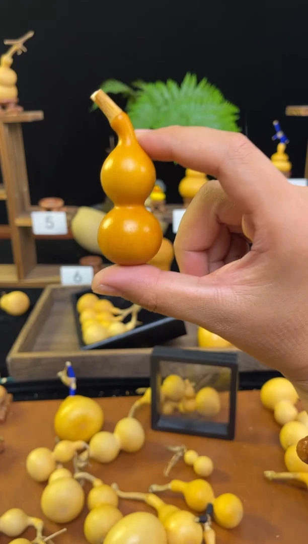 木心**熙999999999