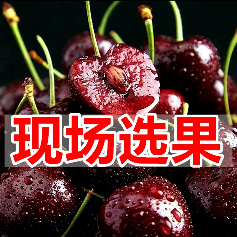 5斤【原箱未拆】进口智利车厘子新鲜水果3J 30mm顺丰空运内附果径卡桑提娜樱桃智利共和国