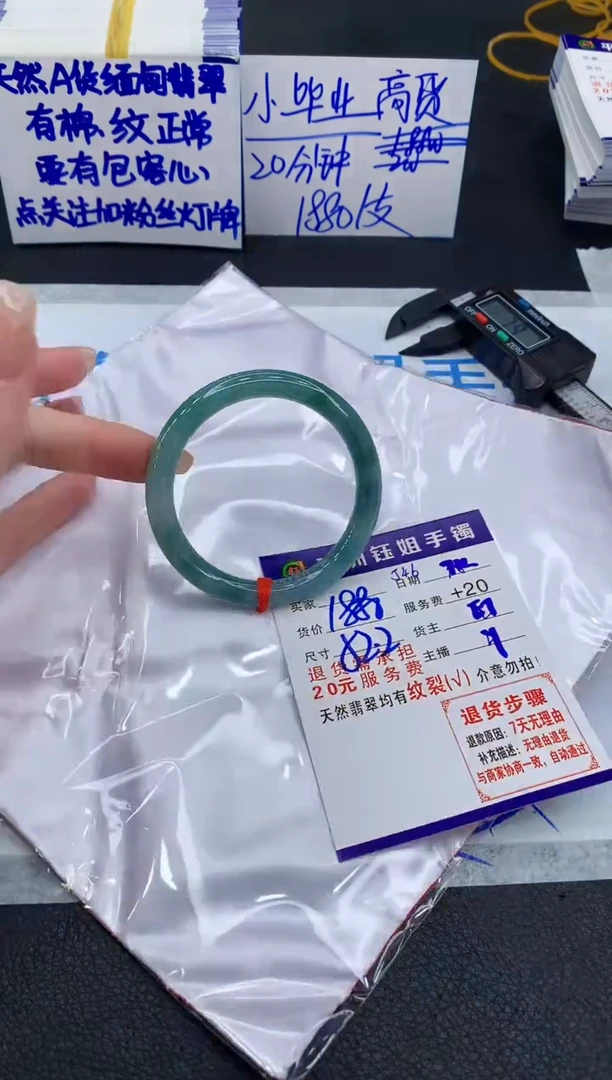 未镶嵌手镯翡翠11111111