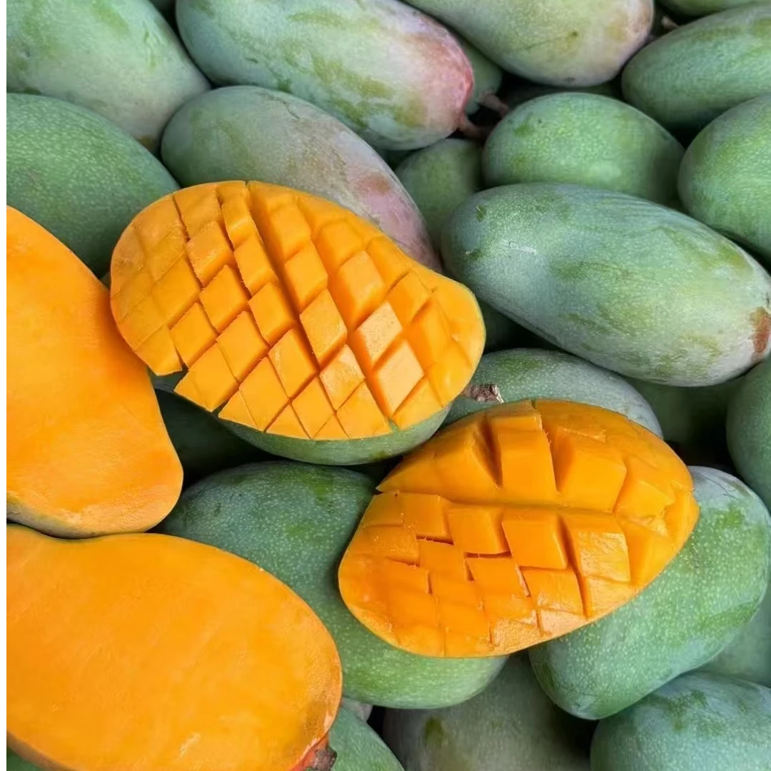 5斤 瑕疵花皮小金煌芒果 花皮不影响口感 新鲜采摘 坏果包赔