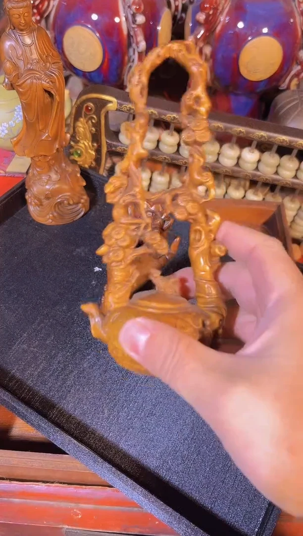 黄杨木1111111111111111111