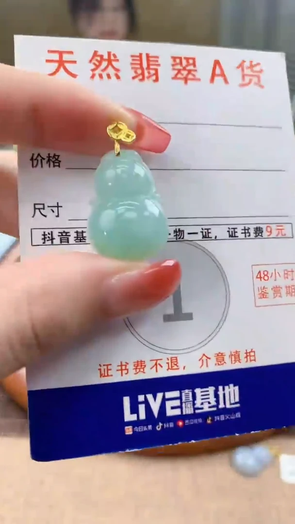 颈饰未镶嵌翡翠天然A货翡翠挂件