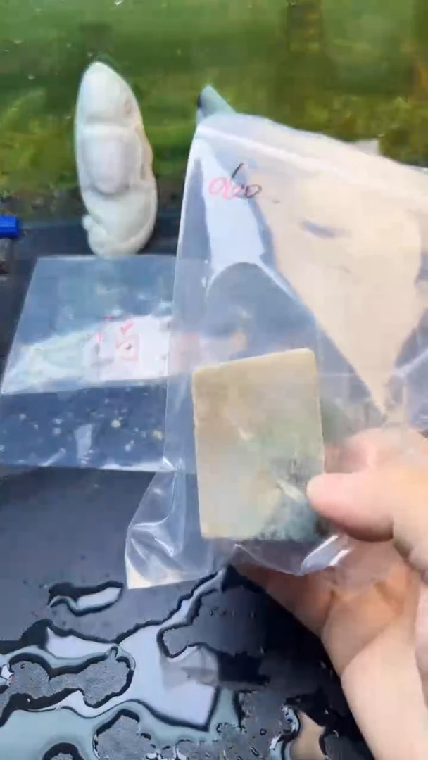 【闪购商品】翡翠颈饰未镶嵌060天然翡翠