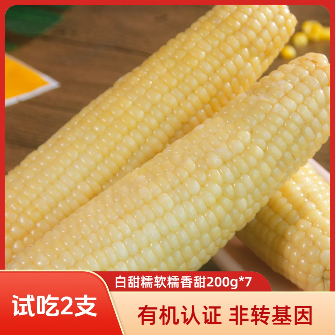 【香甜软糯】天勤粒粒净有机白糯玉米低脂营养早餐粘苞米25年新玉米